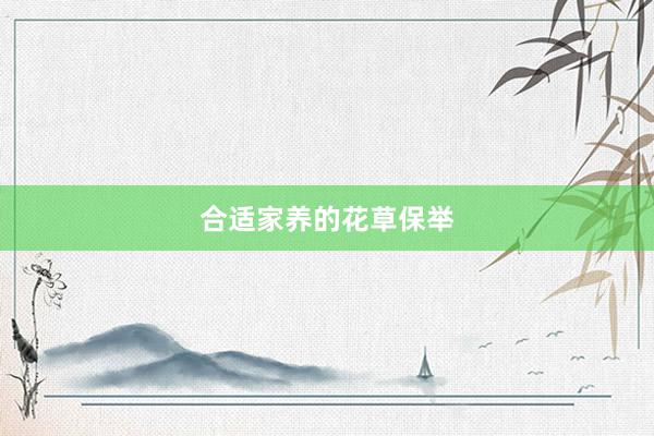 合适家养的花草保举